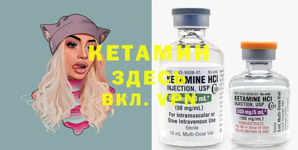 ГАЛЛЮЦИНОГЕННЫЕ ГРИБЫ Гусь-Хрустальный