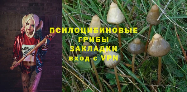 mdpv Гусев