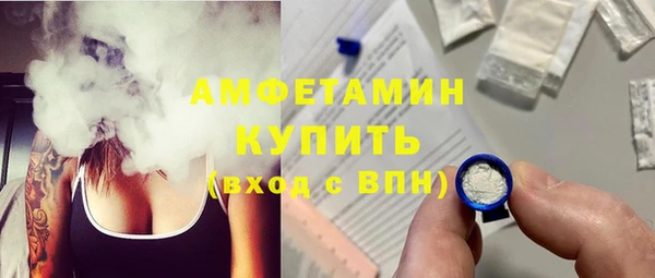 ГАЛЛЮЦИНОГЕННЫЕ ГРИБЫ Гусь-Хрустальный