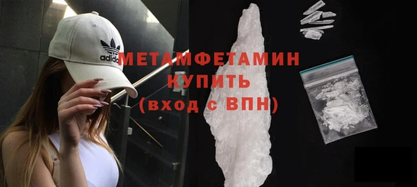 ГАЛЛЮЦИНОГЕННЫЕ ГРИБЫ Гусь-Хрустальный