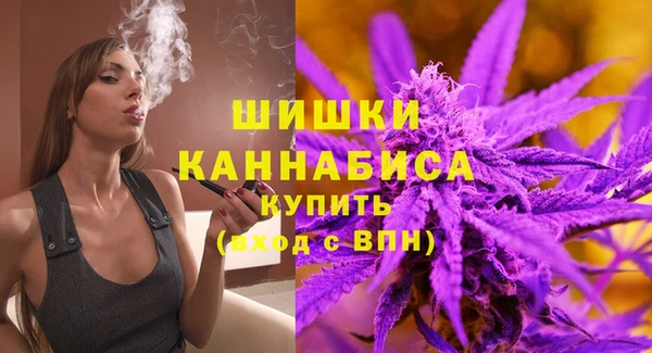 ГАЛЛЮЦИНОГЕННЫЕ ГРИБЫ Гусь-Хрустальный