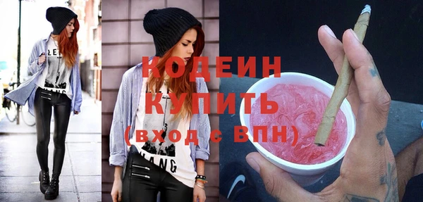 ГАЛЛЮЦИНОГЕННЫЕ ГРИБЫ Гусь-Хрустальный