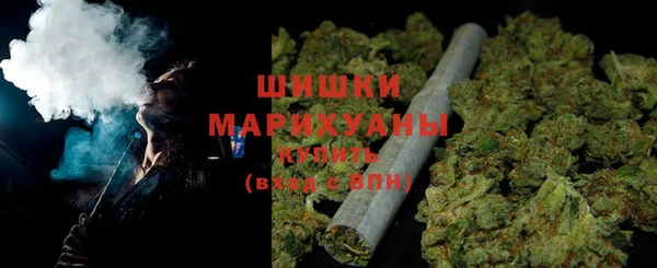 ГАЛЛЮЦИНОГЕННЫЕ ГРИБЫ Гусь-Хрустальный
