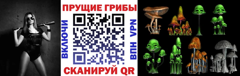 Купить закладки  Кинель  Галлюциногенные грибы мицелий 